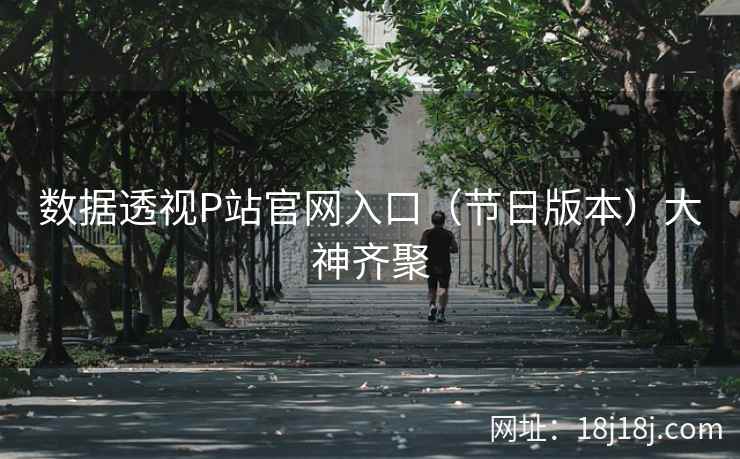 数据透视P站官网入口（节日版本）大神齐聚  第1张