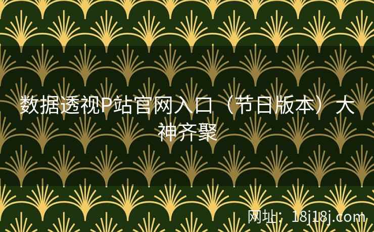 数据透视P站官网入口（节日版本）大神齐聚  第2张