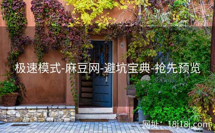 极速模式-麻豆网-避坑宝典-抢先预览