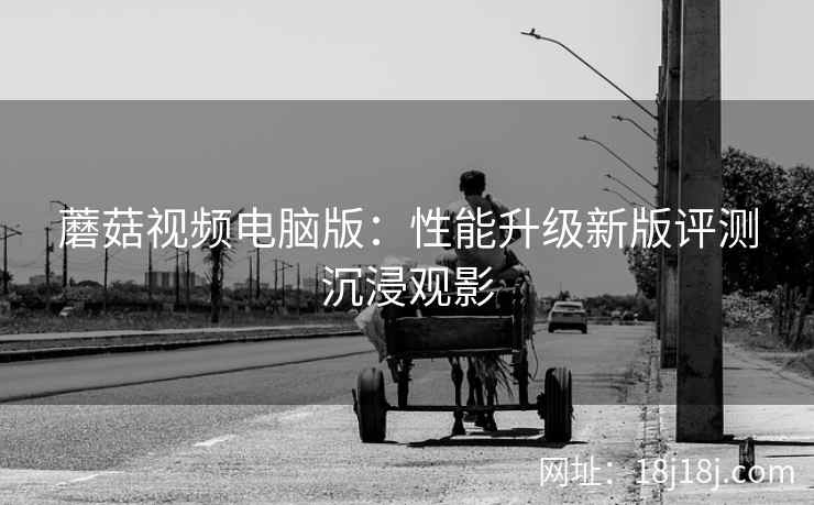 蘑菇视频电脑版：性能升级新版评测沉浸观影