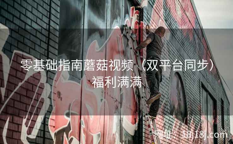 零基础指南蘑菇视频（双平台同步）福利满满