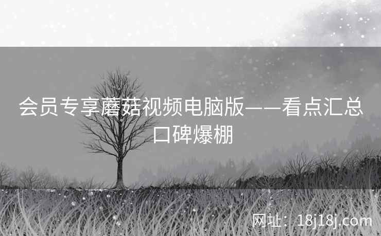 会员专享蘑菇视频电脑版——看点汇总口碑爆棚