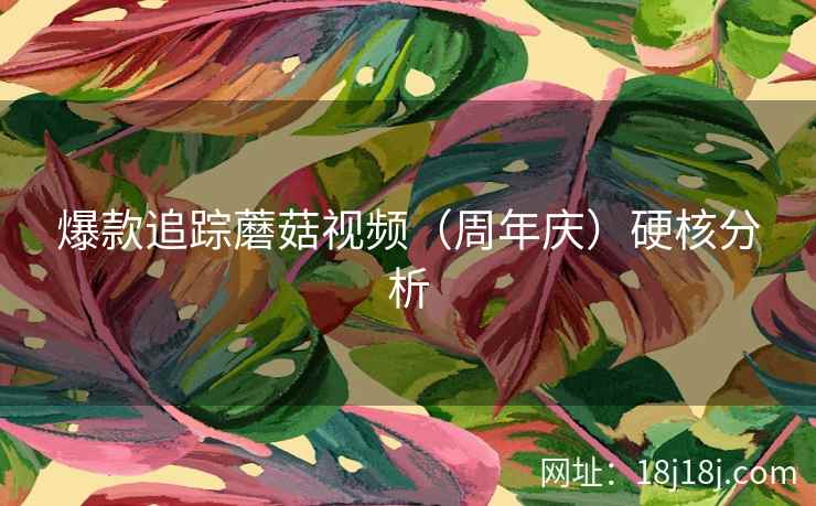 爆款追踪蘑菇视频（周年庆）硬核分析