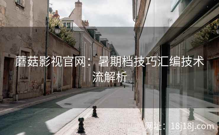 蘑菇影视官网：暑期档技巧汇编技术流解析